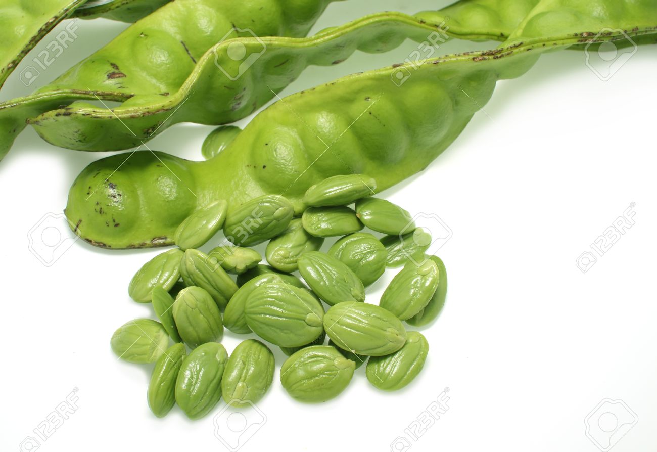 bitter bean